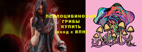 ПСИЛОЦИБИНОВЫЕ ГРИБЫ Богданович