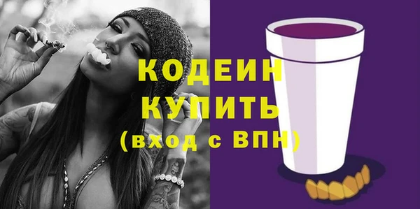 ПСИЛОЦИБИНОВЫЕ ГРИБЫ Богданович
