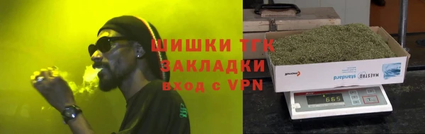 ПСИЛОЦИБИНОВЫЕ ГРИБЫ Богданович