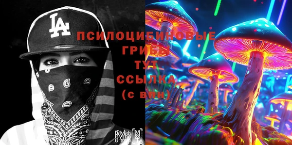 ПСИЛОЦИБИНОВЫЕ ГРИБЫ Богданович