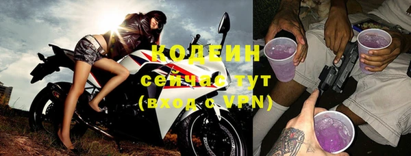 ПСИЛОЦИБИНОВЫЕ ГРИБЫ Богданович