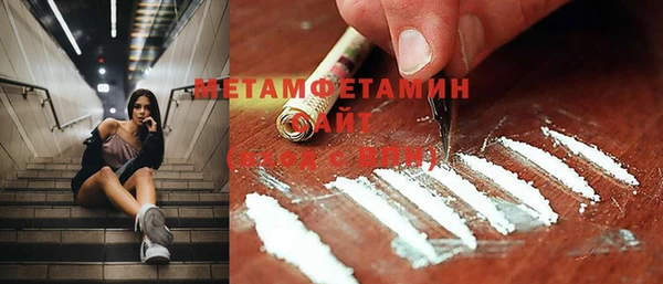 ПСИЛОЦИБИНОВЫЕ ГРИБЫ Богданович