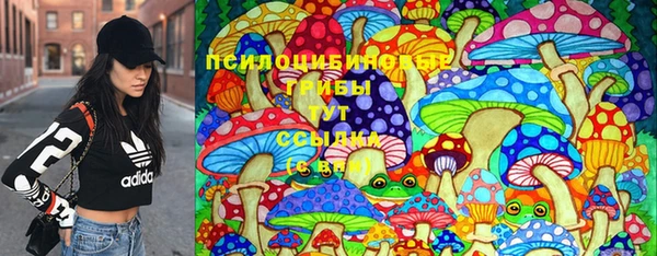 ПСИЛОЦИБИНОВЫЕ ГРИБЫ Богданович