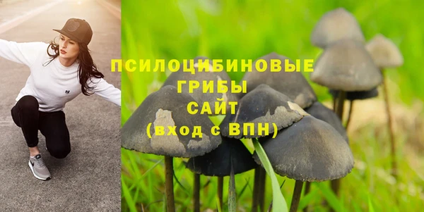 a pvp Богородск