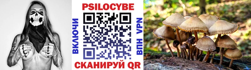 Купить закладки  Малмыж  Галлюциногенные грибы Psilocybine cubensis 